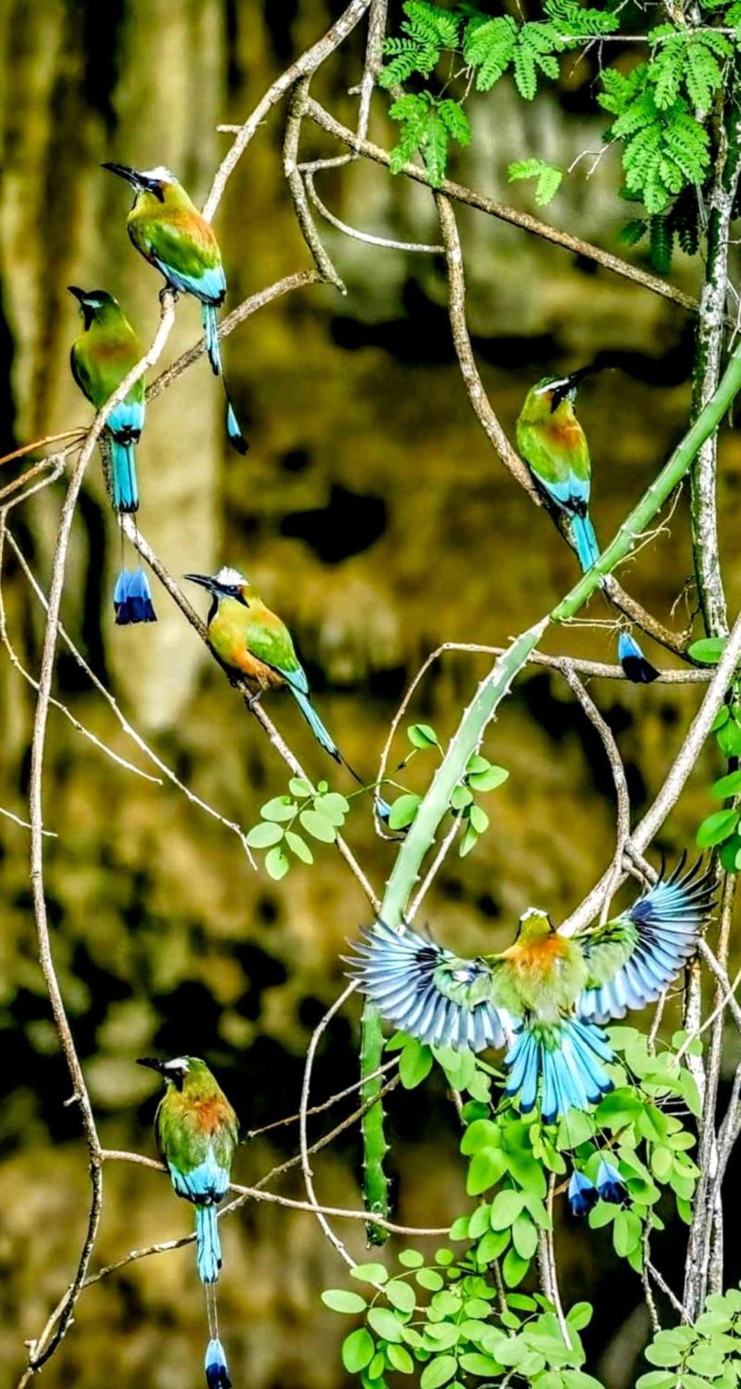 The Blue Eco Lodge Тикуч Экстерьер фото